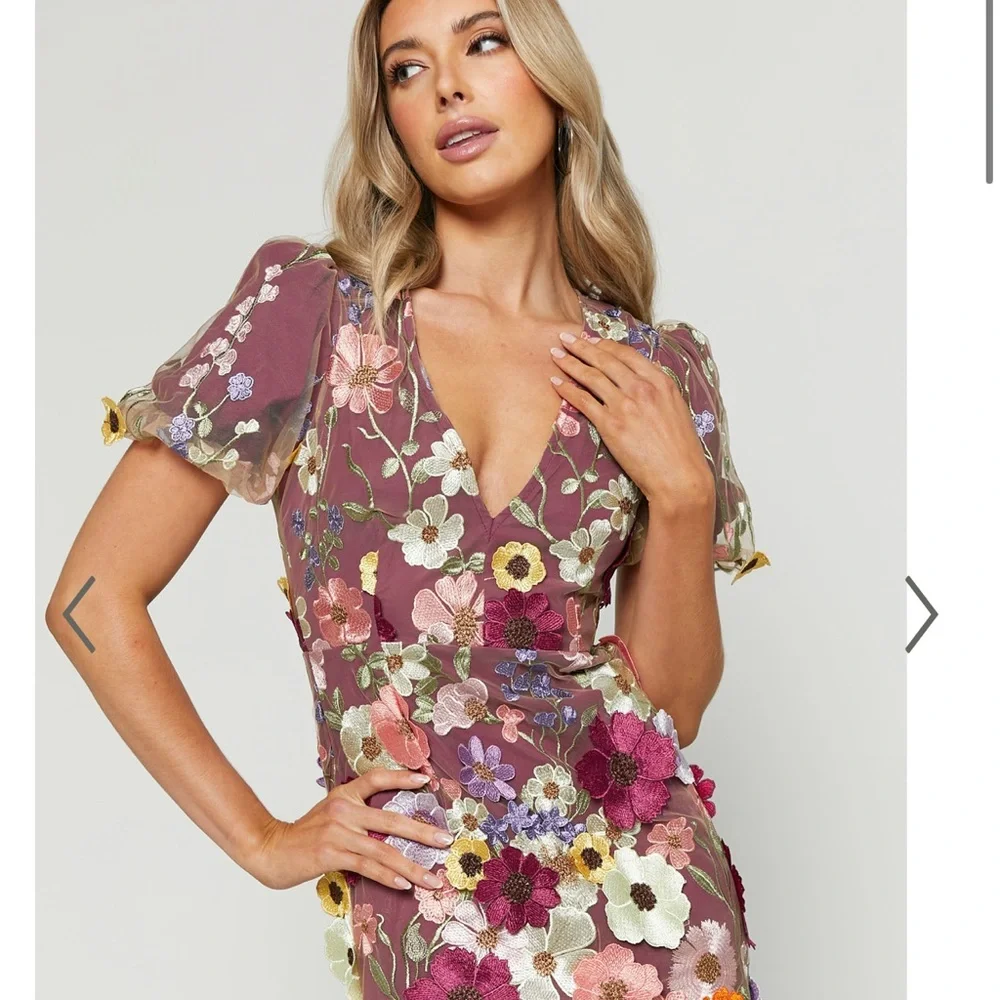 Floral Embroidered Dress - Picture 1 of 3